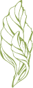 leaf 2