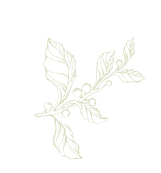 leaves 2